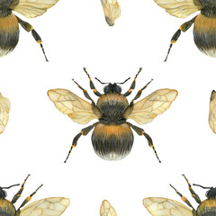 Bumblebees seamless pattern. Watercolor nature illustration for packaging, card and textiles