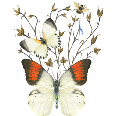 Butterflies and bumblebee. Watercolor nature illustration, composition for greetings and any cards