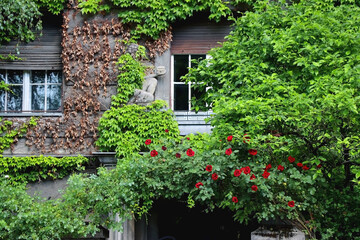 Fototapeta na wymiar Historical building covered in beautiful plants.