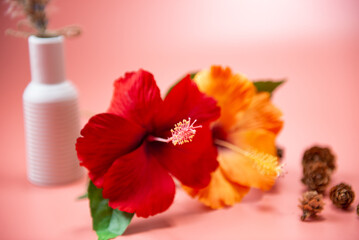 キャンドルとハイビスカス