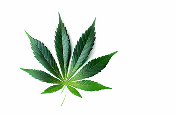 Cannabis leaf isolated on white background. Generative ai design.