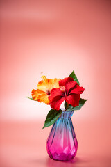 ガラスの瓶とハイビスカス