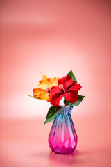 ガラスの瓶とハイビスカス