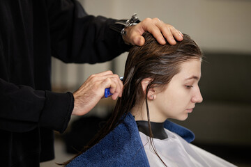 Fototapeta premium male hairdresser is combing the hair of the female client.