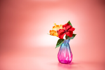 ガラスの瓶とハイビスカス