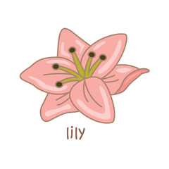 Vocabulary Alphabet L For Lily Illustration Vector Clipart