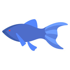 Fototapeta premium Common molly icon
