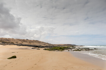incredible beach of yellow sand and large black rocks with algae, with a sky with large gray clouds and the sea in the background beating against the coast. Fuerteventura. Canary Islands. Spain