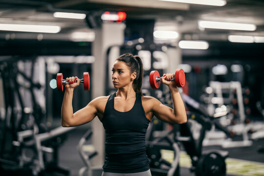 Portrait of a strong female bodybuilder lifting dumbbells in a gym.
