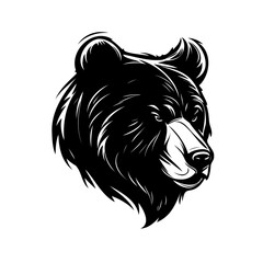 animal, mammal, sketch, vector, illustration, nature, wildlife, drawing, bear, dog, head, wild, hand drawn, fur, pet, art, cat, shaggy, cute, black, isolated on white, zoo, predator, design, beast, ta