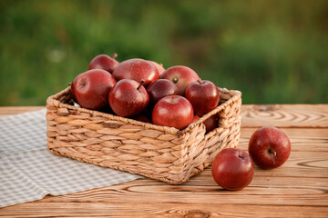 Fresh ripe red apples in the basket on wooden table with natural orchard background. Vegetarian fruit composition. Harvesting concept
