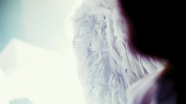 Cinematic shot of wings with white feathers and blurred background. Angel in the Sky