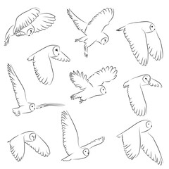10 Fliegende Eulen Lineart Vektor Zeichnungen | Flying Owls Vector Drawings