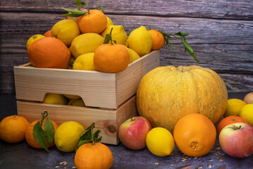 Freshly picked lemons, oranges, tangerines, apples and pumpkin in a Wooden Crate.