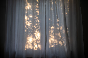 Naklejka na ściany i meble Plant shadows background on the curtains in the window