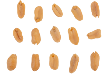 Salted roasted peanuts isolated on transparent background