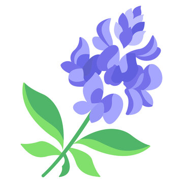Bluebonnet flower icon