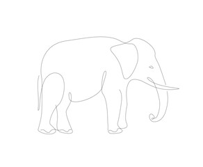 Elephant line art illustration. African animals single line.