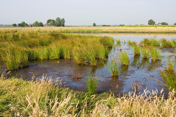 Groene Jonker, Zevenhoven, Netherlands