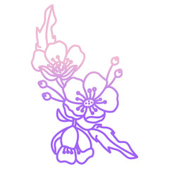 buttercup flower icon