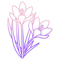Crocus flower icon