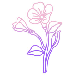 periwinkle flower icon