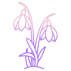 Snowdrop flower icon
