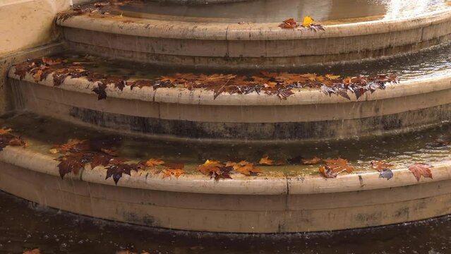 Autumn maple leaves and water flowing of the Medici Fountain of the Luxembourg gardens in Paris, France
