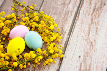 Colorful Easter eggs on a yellow mimosa background