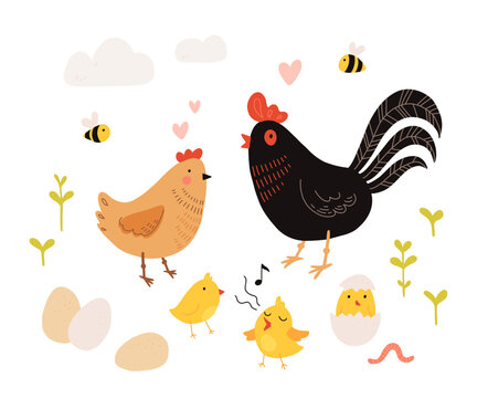 Collection of rooster, hen and chicks isolated on white background. Bundle of chicken with brood. Cute lovely family of domestic fowl or poultry birds. Childish flat cartoon vector illustration.