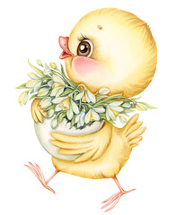 Cute chick holds bouquet of snowdrops in Easter egg. Baby chicken with white spring flowers Hand drawn watercolor illustration. Ideal for greeting and greeting Easter cards, PNG file - 574254467