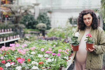 Fototapeta premium Pregnant woman in green jacket choosing a flower plant in a plant shop