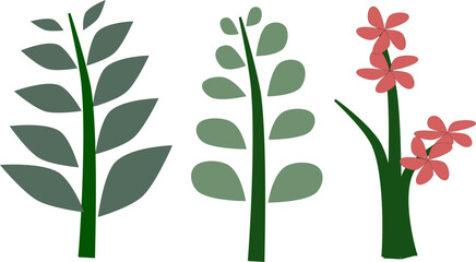 Vector set of flat illustrations of plants, trees, leaves, branches, bushes and pots. illustration