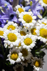 Fototapeta premium Beautiful bouquet in a vase illuminated by a flash