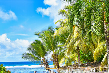 Seychelles beach with palm trees during the summer season