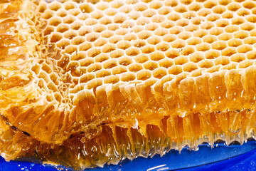 close-up of honeycombs with honey