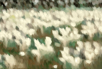 Field of spring white flowers, abstract, oil paint style, neutral colors, bright. Generative AI.