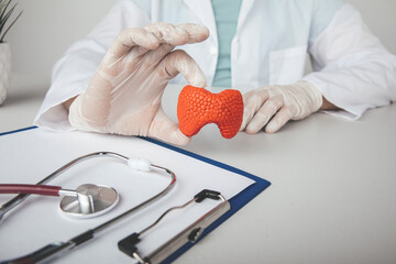 Endocrinologist holding model of thyroid. Health check concept