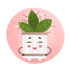 cute kawaii houseplant, kawaii cacti, a cactus in a pot, houseplant, home garden, gardening, plant lover, houseplant shop concept, greenhouse 