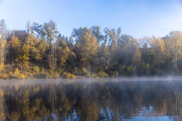 Fototapeta na wymiar Trees and fog in the morning in autumn