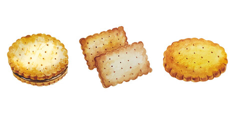 Watercolor set of sweet cookies hand painting