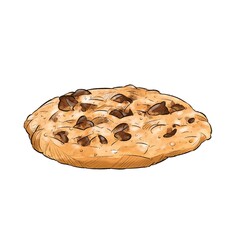 cookie with chocolate