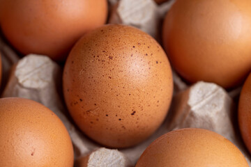 Yellow Chicken Eggs Packed for Storage