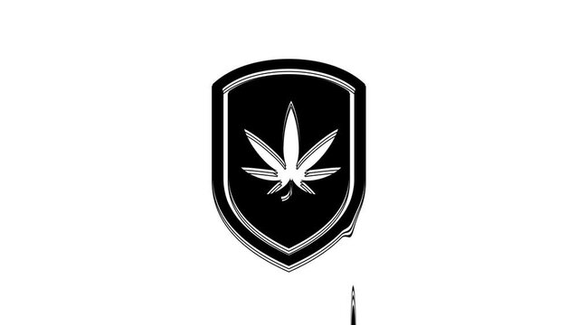 Black Shield and marijuana or cannabis leaf icon isolated on white background. Marijuana legalization. Hemp symbol. 4K Video motion graphic animation