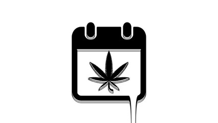 Black Calendar and marijuana or cannabis leaf icon isolated on white background. National weed day. Hemp symbol. 4K Video motion graphic animation