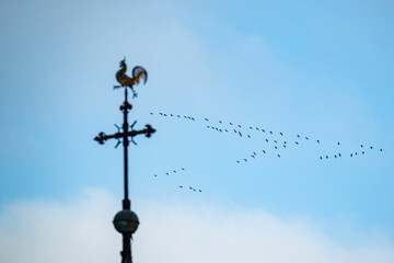 Fototapeta na wymiar Symbol of hope as a Group of birds is passing christian catholic church in Europe during spring migration 