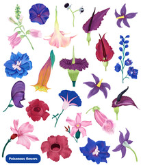 Collection of poisonous flowers illustrations Digital botanical clipart Procreate illustration of bright colorful exotic tropical flowers. 