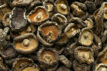 The Chinese neighborhood called Yaowarat, Bangkok, Thailand that tourists from all over the world want to visit, such as buying dried shiitake mushrooms for cooking. Photographed on 19 Feb 2023.