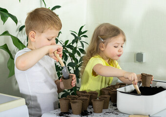 Two children preparing pots with soil for planting seeds for seedlings to the new spring season....