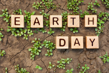 Cracked soil plants letter block toy cube wood text Earth day on dry ground plant sprout. Environment day on dry earth plant soil dry dirt. Crack earth word block wooden cubes on cracked ground plant